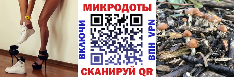 Галлюциногенные грибы ЛСД  Карачаевск 